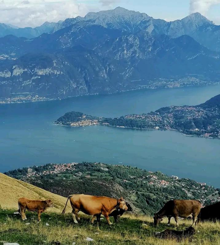 Casa Intignano - Camera Con Bagno E Portico Vista Lago Tremezzo Kültér fotó