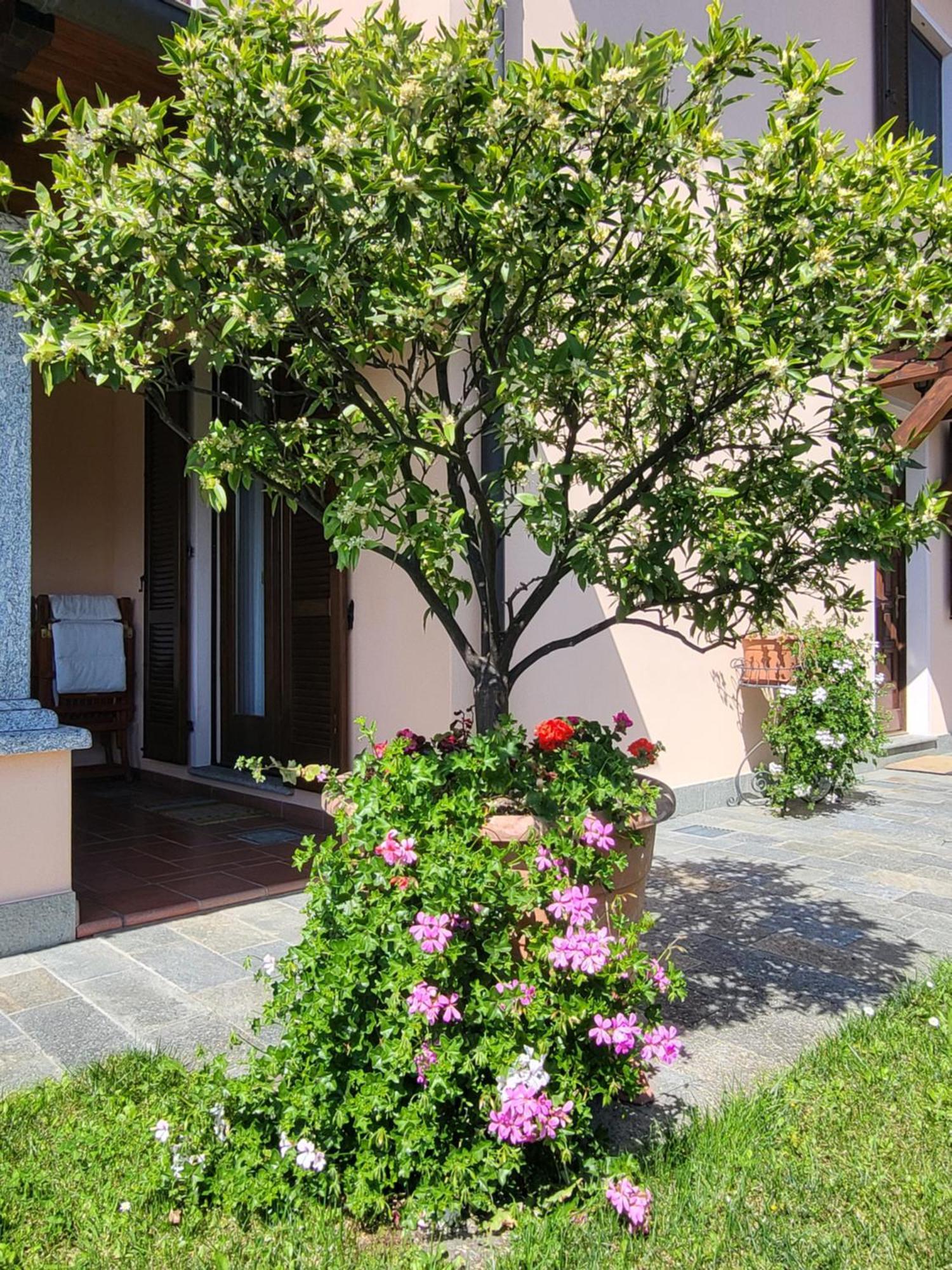 Casa Intignano - Camera Con Bagno E Portico Vista Lago Tremezzo Kültér fotó